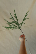 Single 18 inch faux Norfolk pine stem held up to show its branches