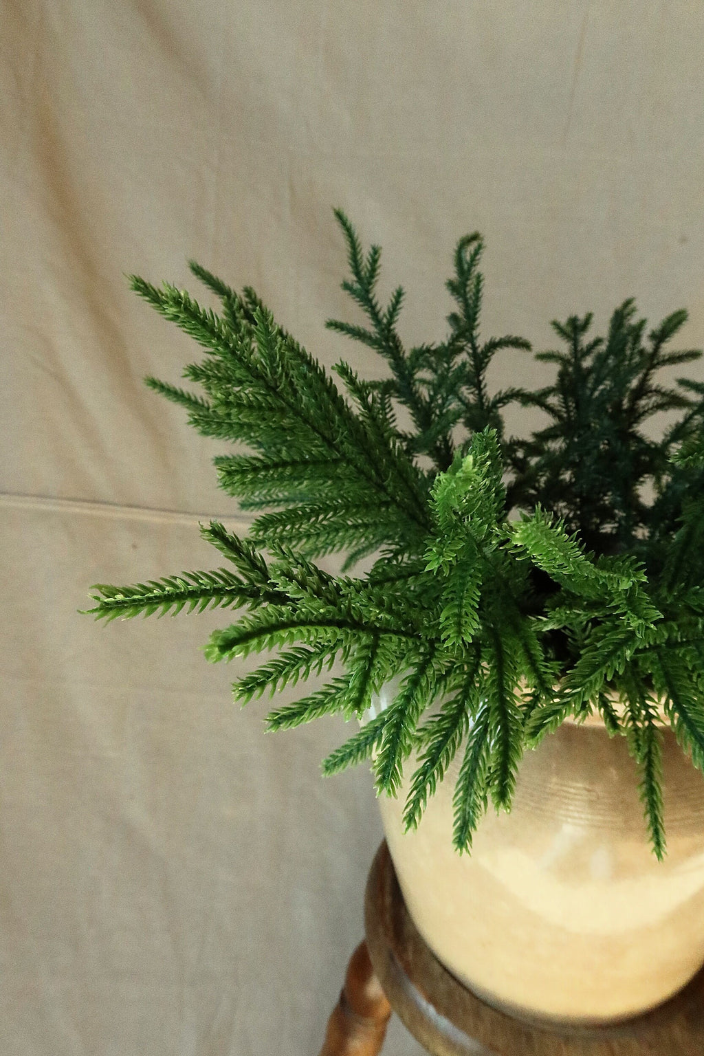 Closer view of faux Norfolk pine stems filling a cream glazed crock
