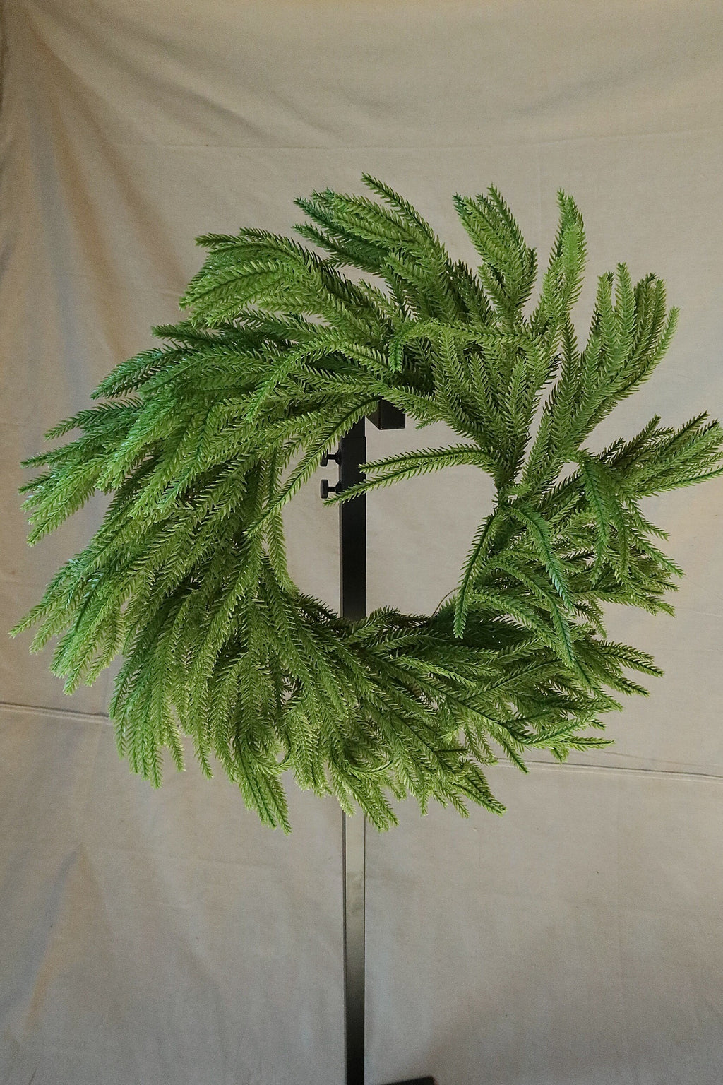 Front view of a 24 inch faux Norfolk pine wreath with long, sweeping green branches, displayed on a black stand