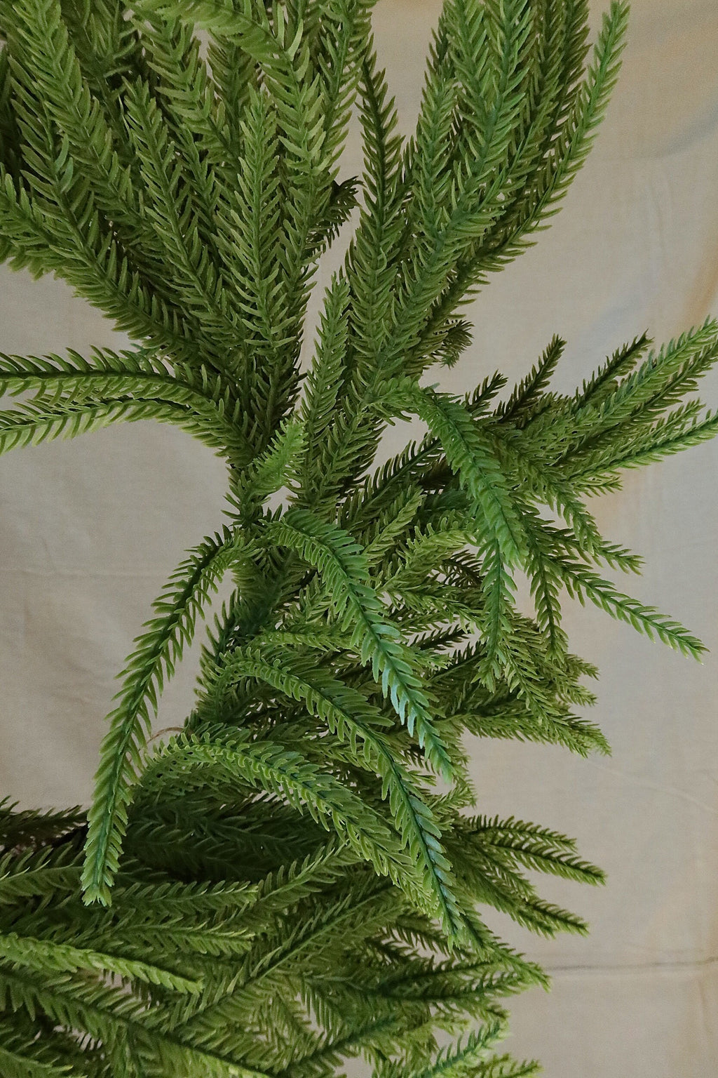 Close-up of the faux Norfolk pine branches on the 24 inch wreath showing the fine needle detail