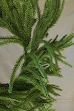 Close-up of the faux Norfolk pine branches on the 24 inch wreath showing the fine needle detail