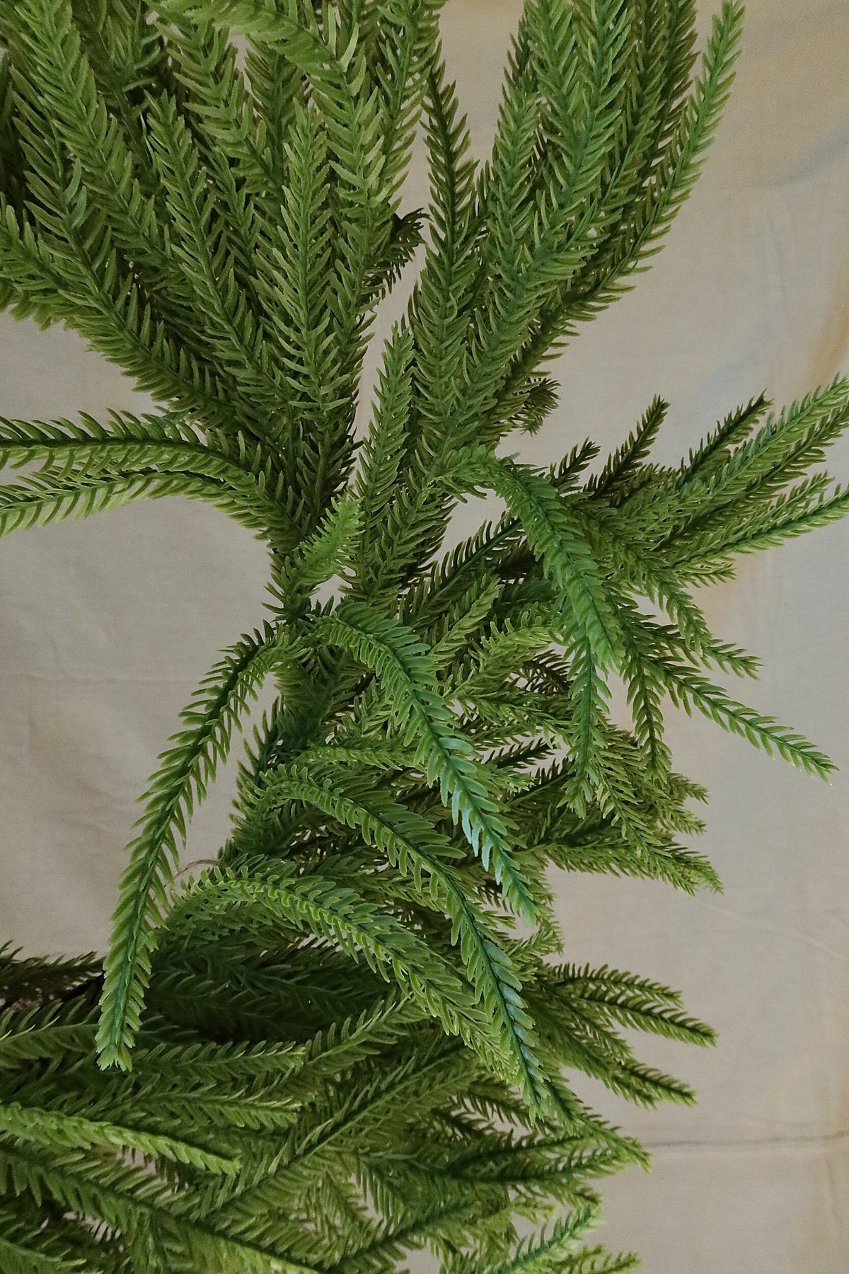 Close-up of the faux Norfolk pine branches on the 24 inch wreath showing the fine needle detail